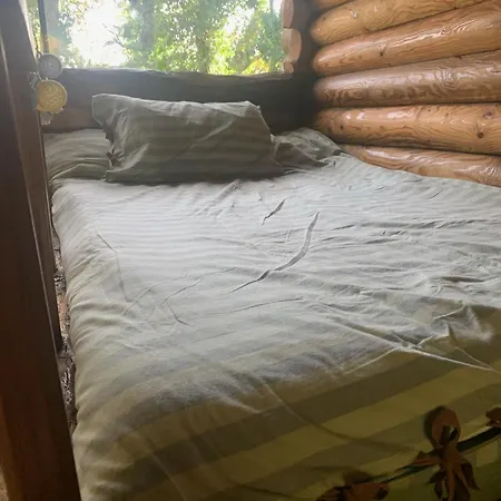 - A Pastoriza - Lugo *