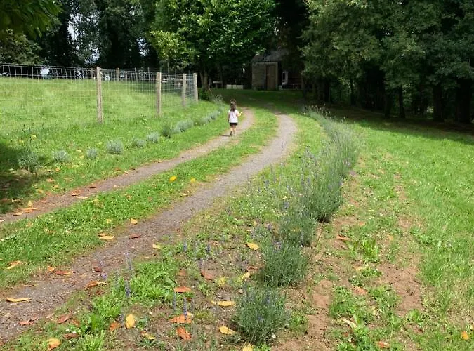 Kamp alanı - A Pastoriza - Lugo Baltar (Lugo)
