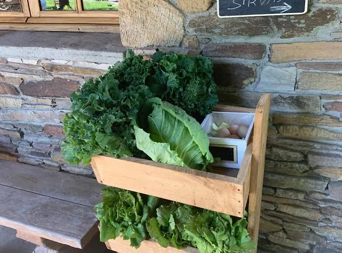 캠프장 - A Pastoriza - Lugo