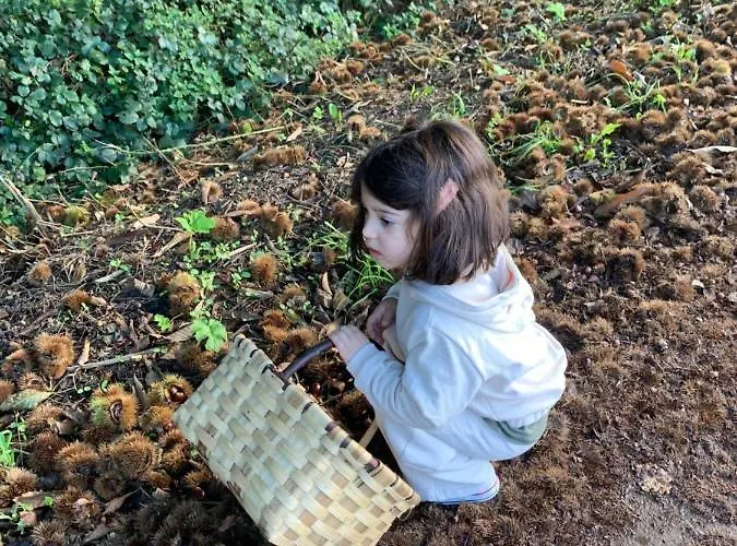 - A Pastoriza - Lugo 캠프장