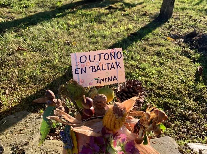 캠프장 - A Pastoriza - Lugo Baltar (Lugo)