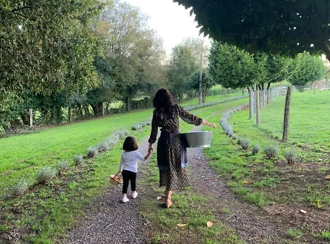 - A Pastoriza - Lugo *