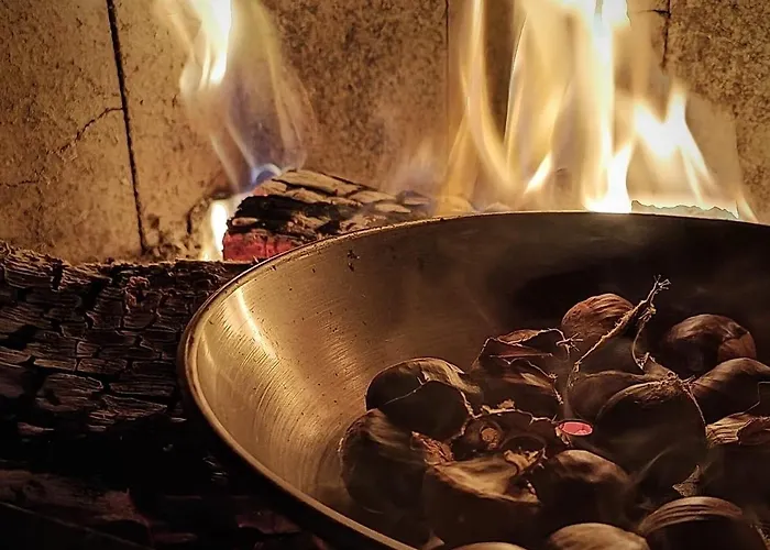 - A Pastoriza - Lugo