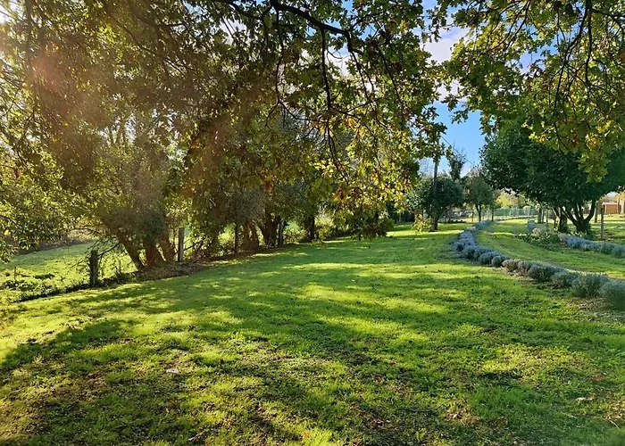 - A Pastoriza - Lugo Kamp alanı