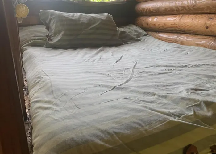 - A Pastoriza - Lugo *